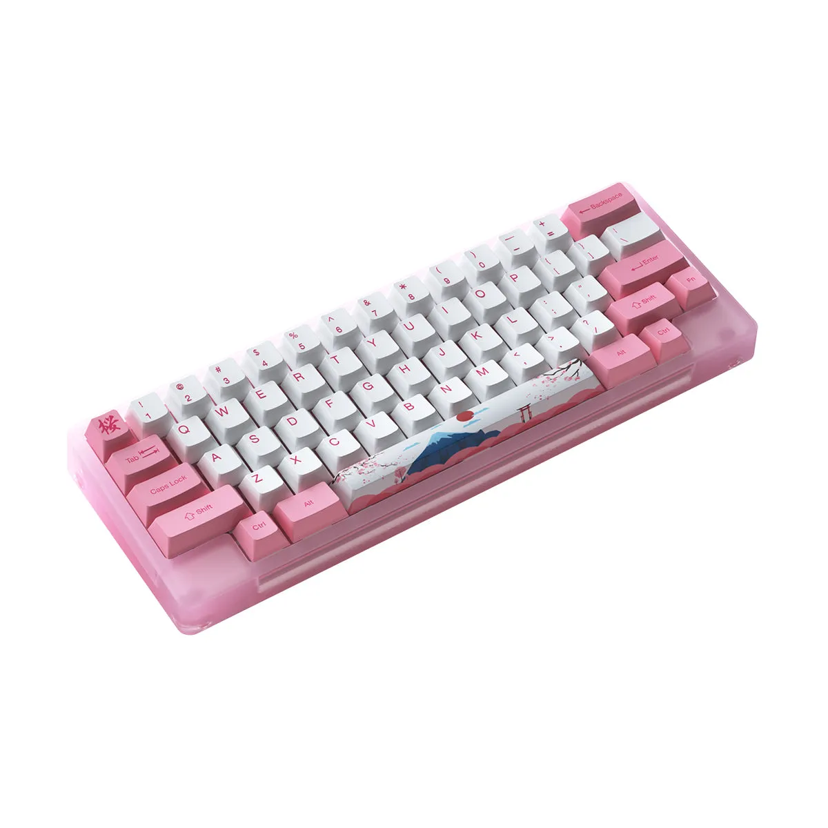 Akko ACR59 Combo RGB (SMD LED & Underglow) Hot-Swappable Acrylic Mechanical Keyboard World Tour Tokyo (Jelly Pink Switches)