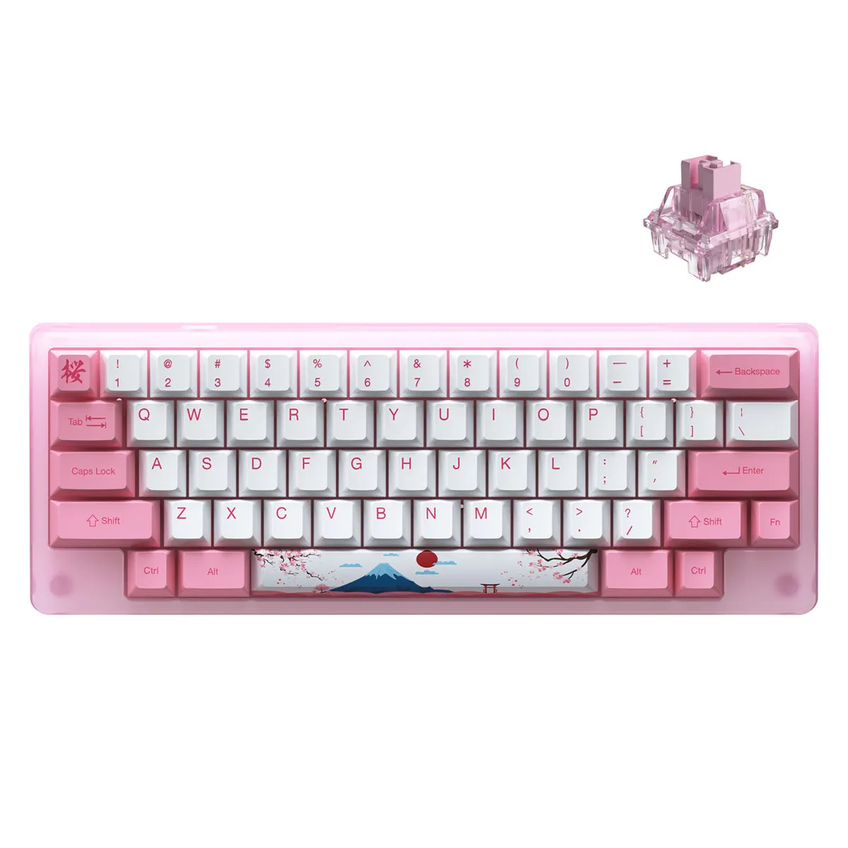 Akko ACR59 Combo RGB (SMD LED & Underglow) Hot-Swappable Acrylic Mechanical Keyboard World Tour Tokyo (Jelly Pink Switches)