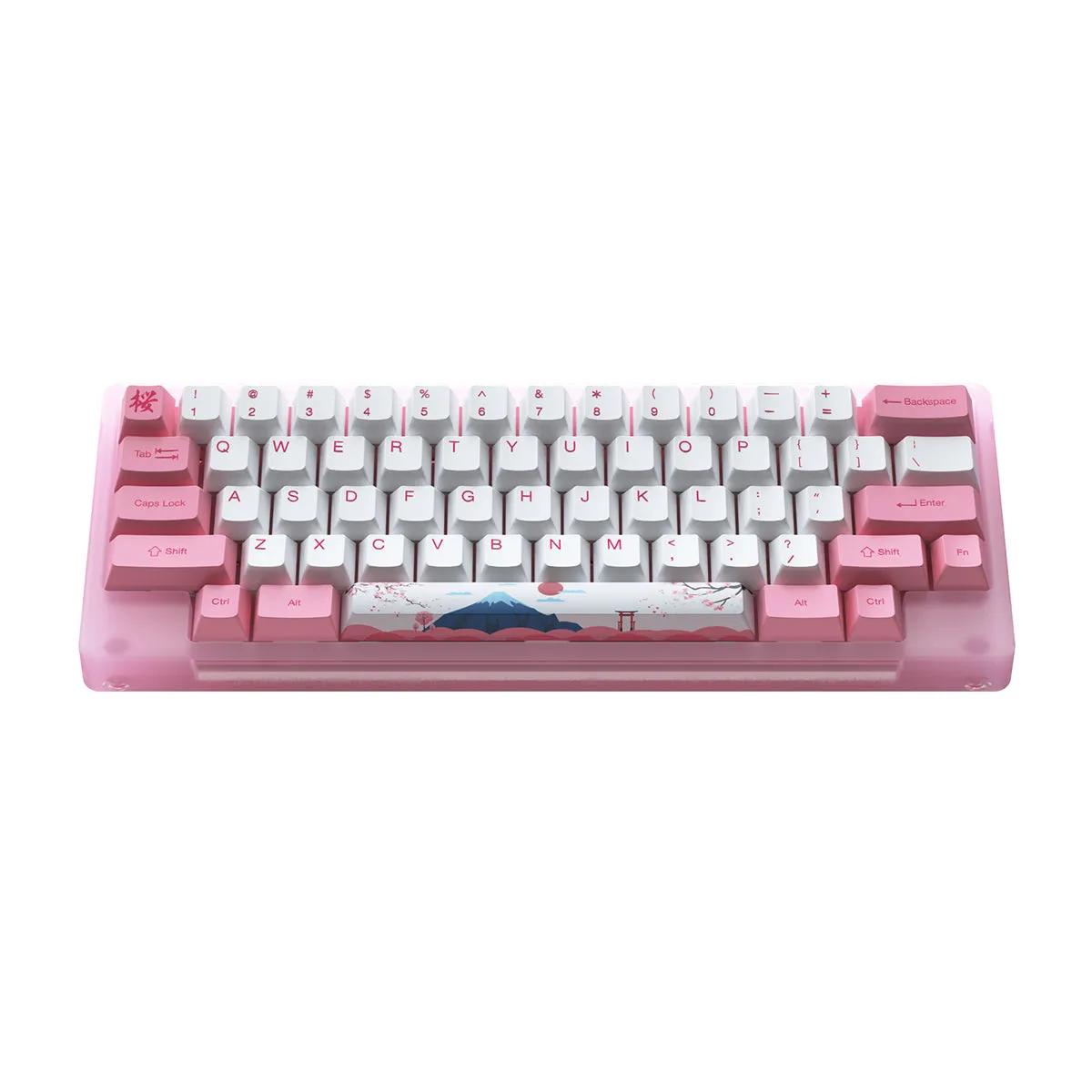 Akko ACR59 Combo RGB (SMD LED & Underglow) Hot-Swappable Acrylic Mechanical Keyboard World Tour Tokyo (Jelly Pink Switches)