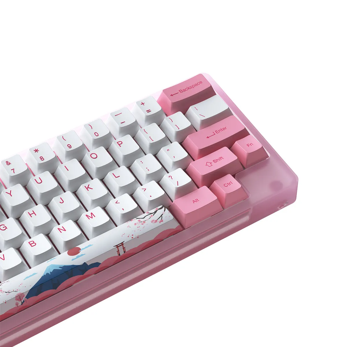 Akko ACR59 Combo RGB (SMD LED & Underglow) Hot-Swappable Acrylic Mechanical Keyboard World Tour Tokyo (Jelly Pink Switches)