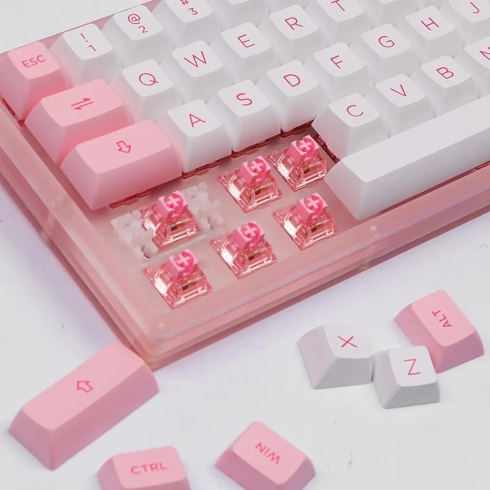 AKKO ACR61 COMBO RGB HOT-SWAPPABLE ACRYLIC MECHANICAL KEYBOARD PRUNUS LANNESIANA (JELLY PINK SWITCH)