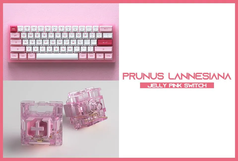 AKKO ACR61 COMBO RGB HOT-SWAPPABLE ACRYLIC MECHANICAL KEYBOARD PRUNUS LANNESIANA (JELLY PINK SWITCH)