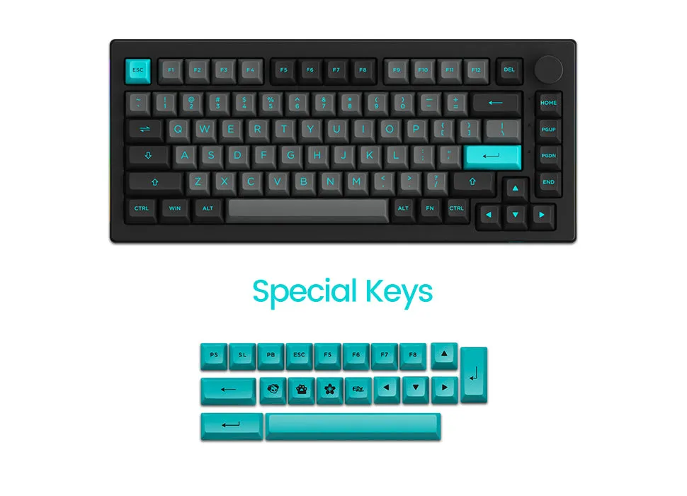 Akko Black & Cyan 5075B Plus Multi-Modes RGB Mechanical Keyboard (Akko CS Wine Red)