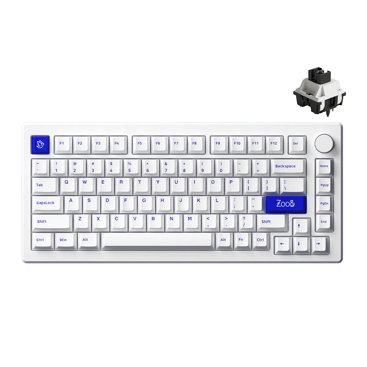 Akko MOD 007B PC Blue on White Multi-Modes RGB Hot-Swappable Mechanical Keyboard Gasket Mount (Akko V3 Piano Pro Switch)