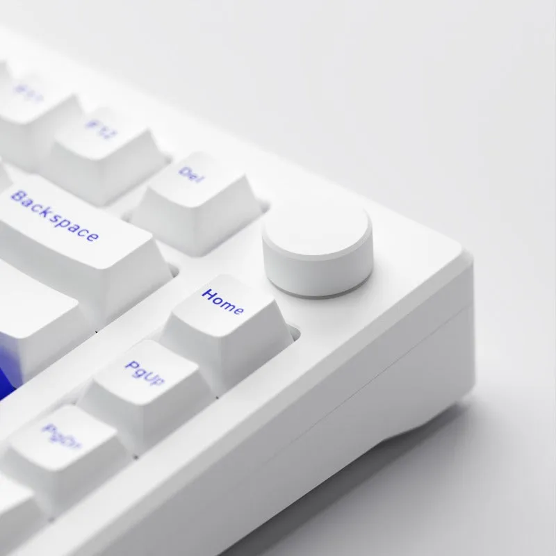 Akko MOD 007B PC Blue on White Multi-Modes RGB Hot-Swappable Mechanical Keyboard Gasket Mount (Akko V3 Piano Pro Switch)