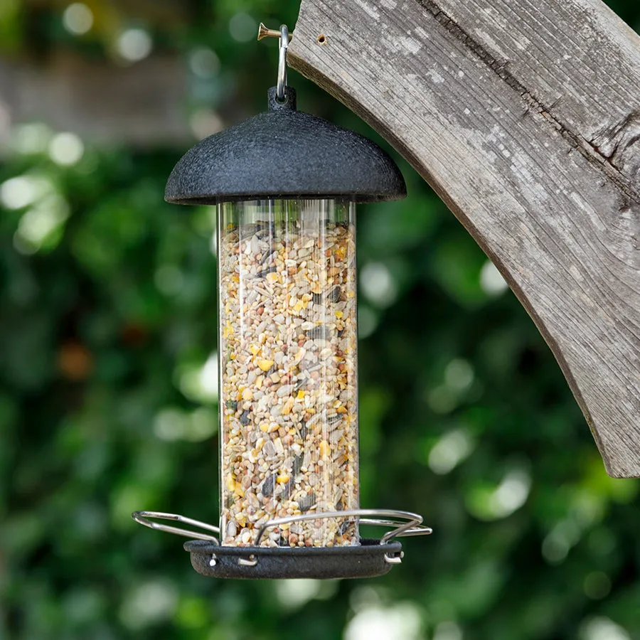 Double Bird Feeder