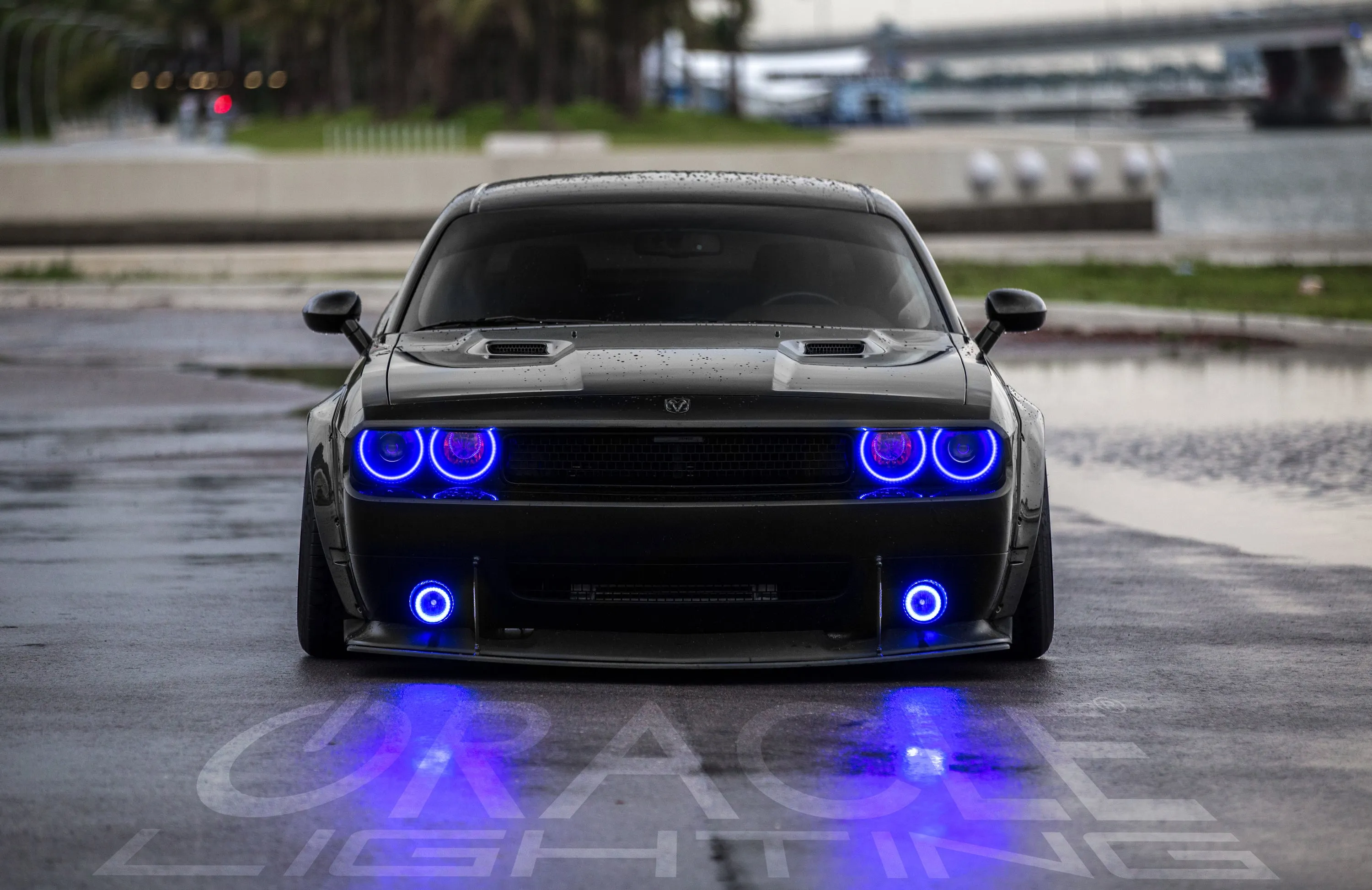 ORACLE Lighting 2008-2014 Dodge Challenger LED Fog Light Halo Kit - Surface Mount